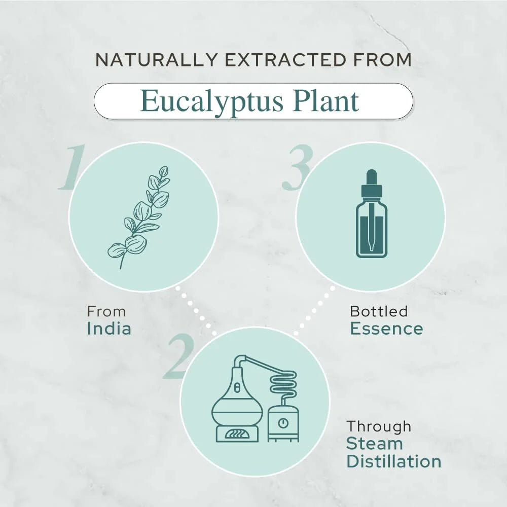 Eucalyptus oil